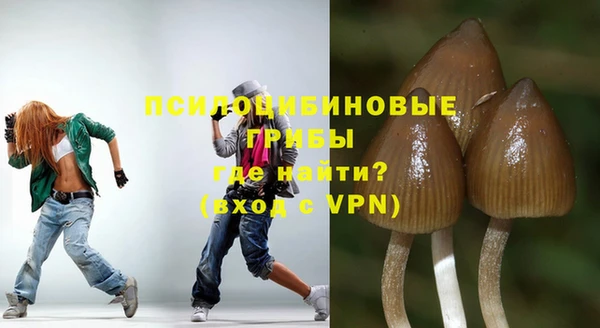 спиды Алексеевка