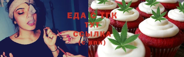PSILOCYBIN Алзамай