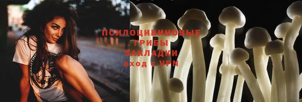 спиды Алексеевка