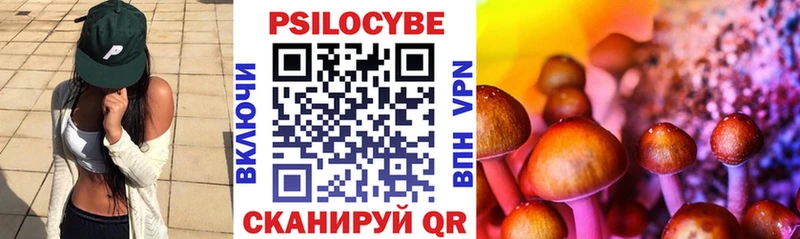 Псилоцибиновые грибы Psilocybe Алупка